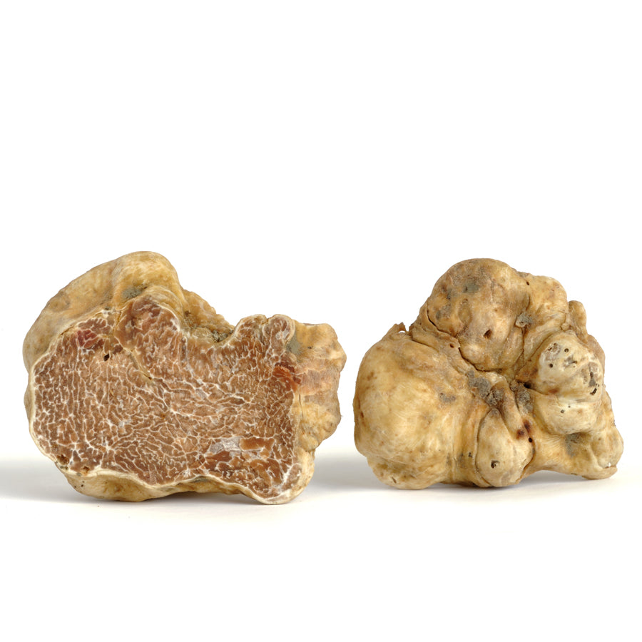 White Truffles (Italian). Buy Fresh Truffles Online. Best Truffles. - Kolikof® Caviar & Gourmet