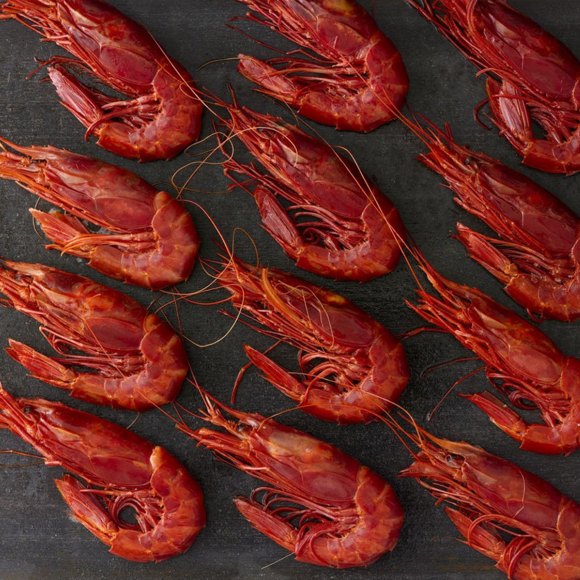 Spanish Red Carabineros Jumbo Prawns Order Prawns Online at Kolikof – Kolikof® Caviar & Gourmet