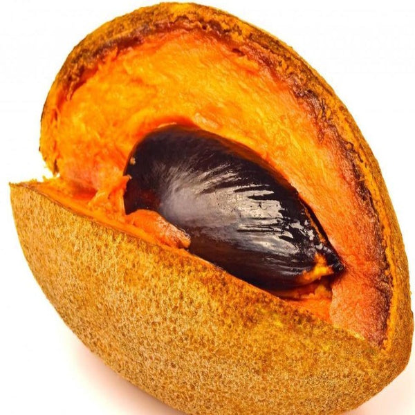 mamey sapote health benefits