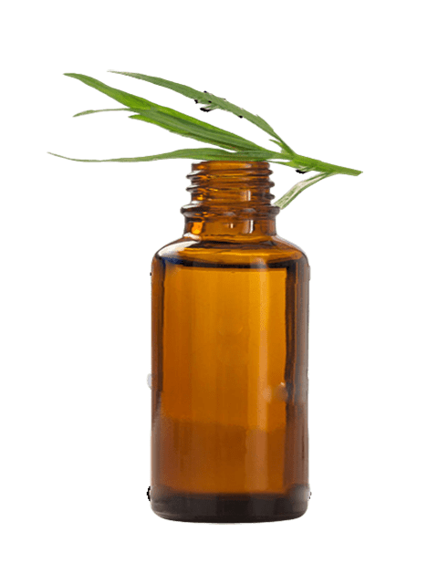 Ava's Oil of Anise - 250 ml