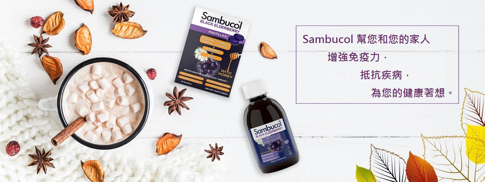 Sambucol healthy marketing slide hk