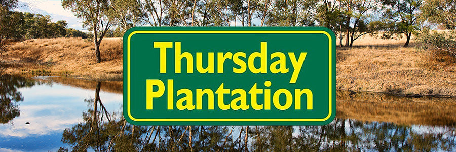 thursday plantation hk marketing banner logo