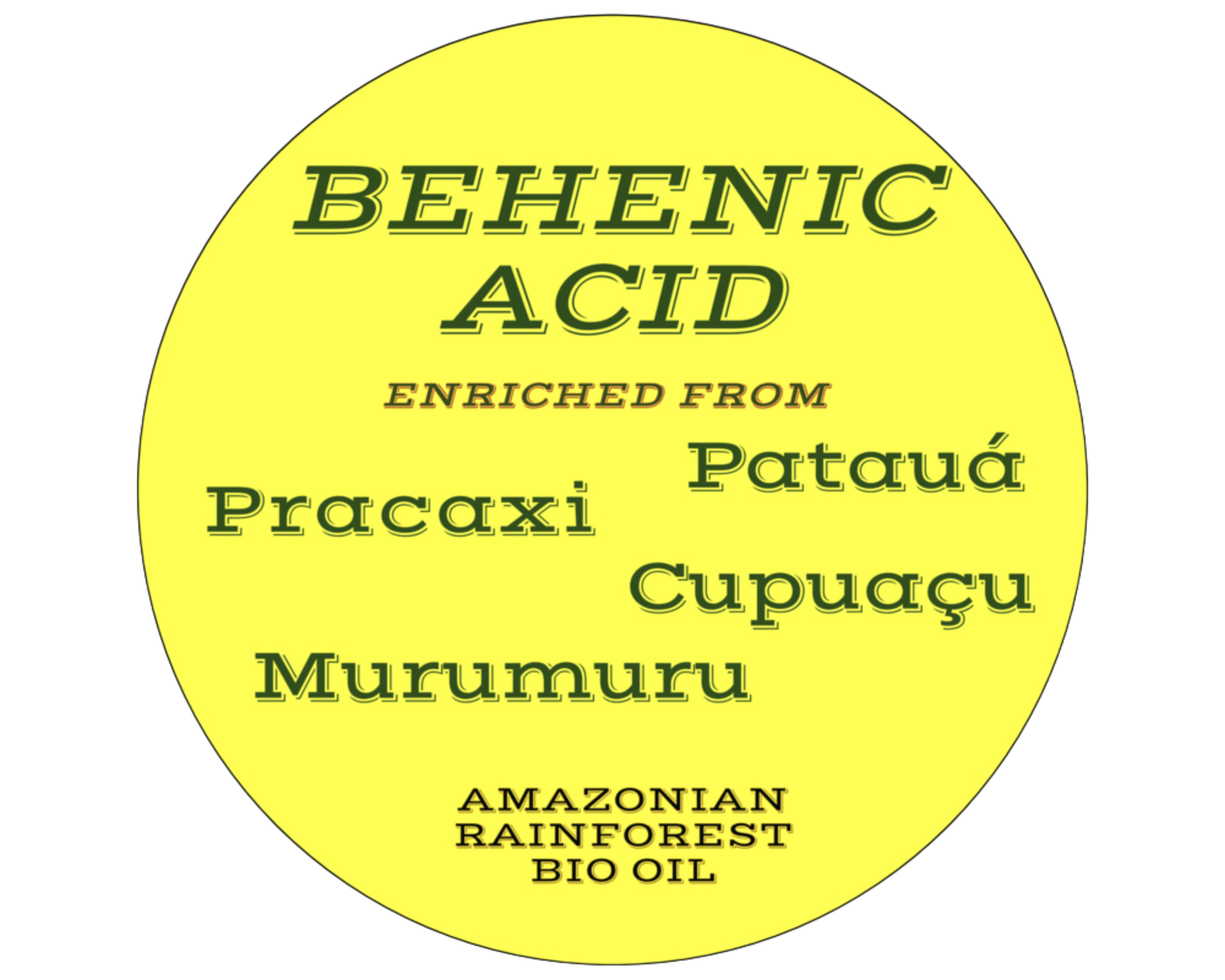 Nativilis BEHENIC ACID enriched from 04 Amazonian Rainforest Bio Oil - PATAUA PRACAXI MURUMURU CUPUACU- boosts hydration levels, reducing frizz and curl volume, leaving hair shiny - Copaiba Media 1 of 17