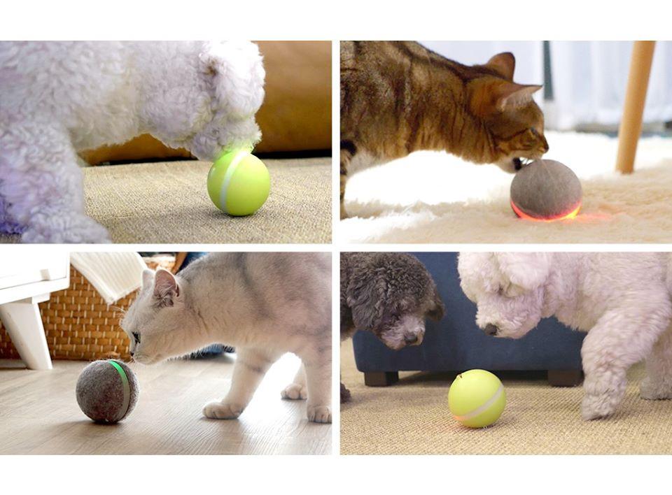 smart pet ball