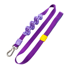 Shock absorbing leash for dachshunds