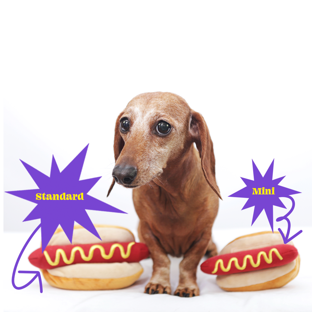 squeaky hot dog dog toy