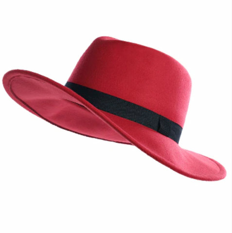 Fedora Hat Women Winter Hats for Women Ribbon Band Hat Wide Brim