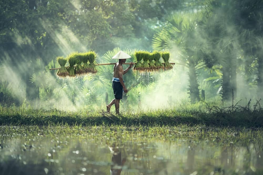 Les pierres semi-précieuses en Asie