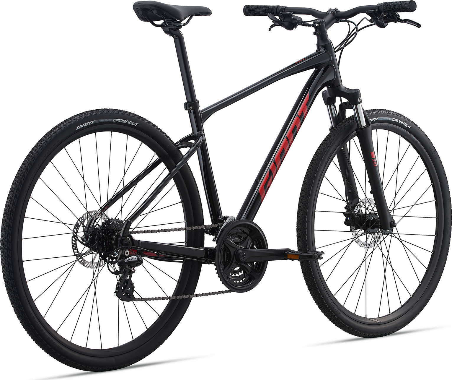 GIANT ROAM 4 DISC 2021 Life Cycle Bicycle Shop