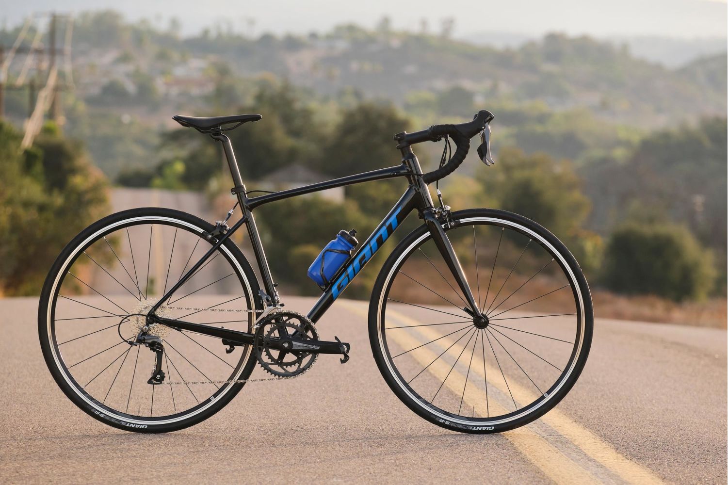 giant road bike contend 2