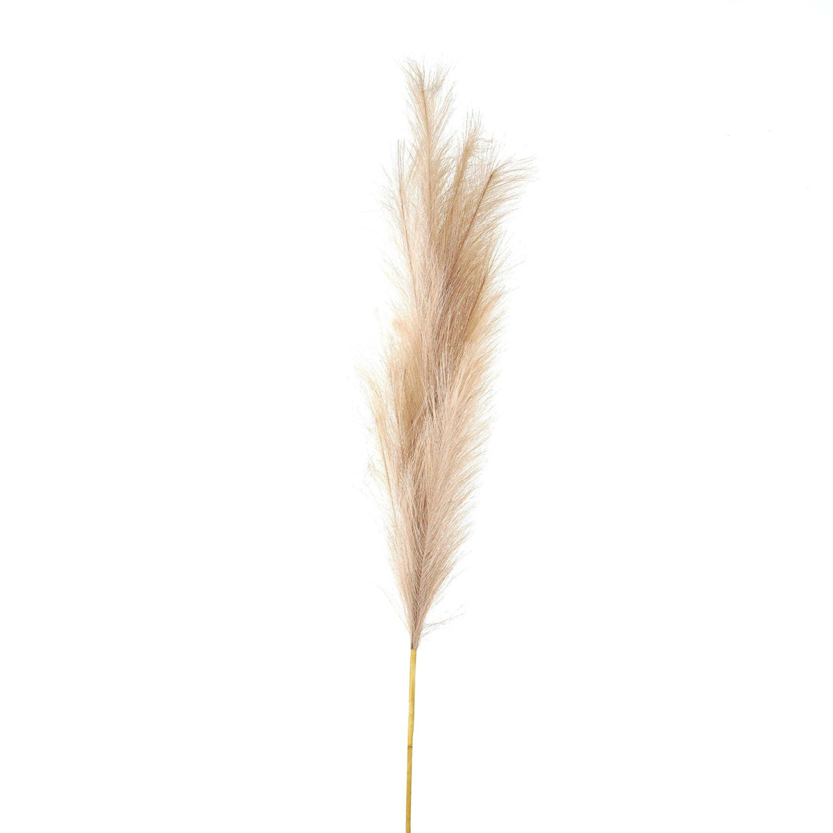 Bleached Large Faux Pampas Grass Stem – Ivy May Fashion and Home