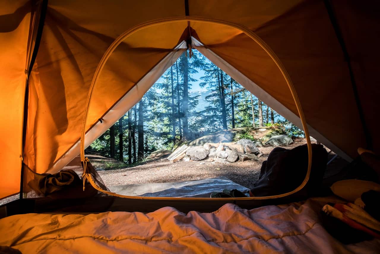 View of a forest from inside of a tent
