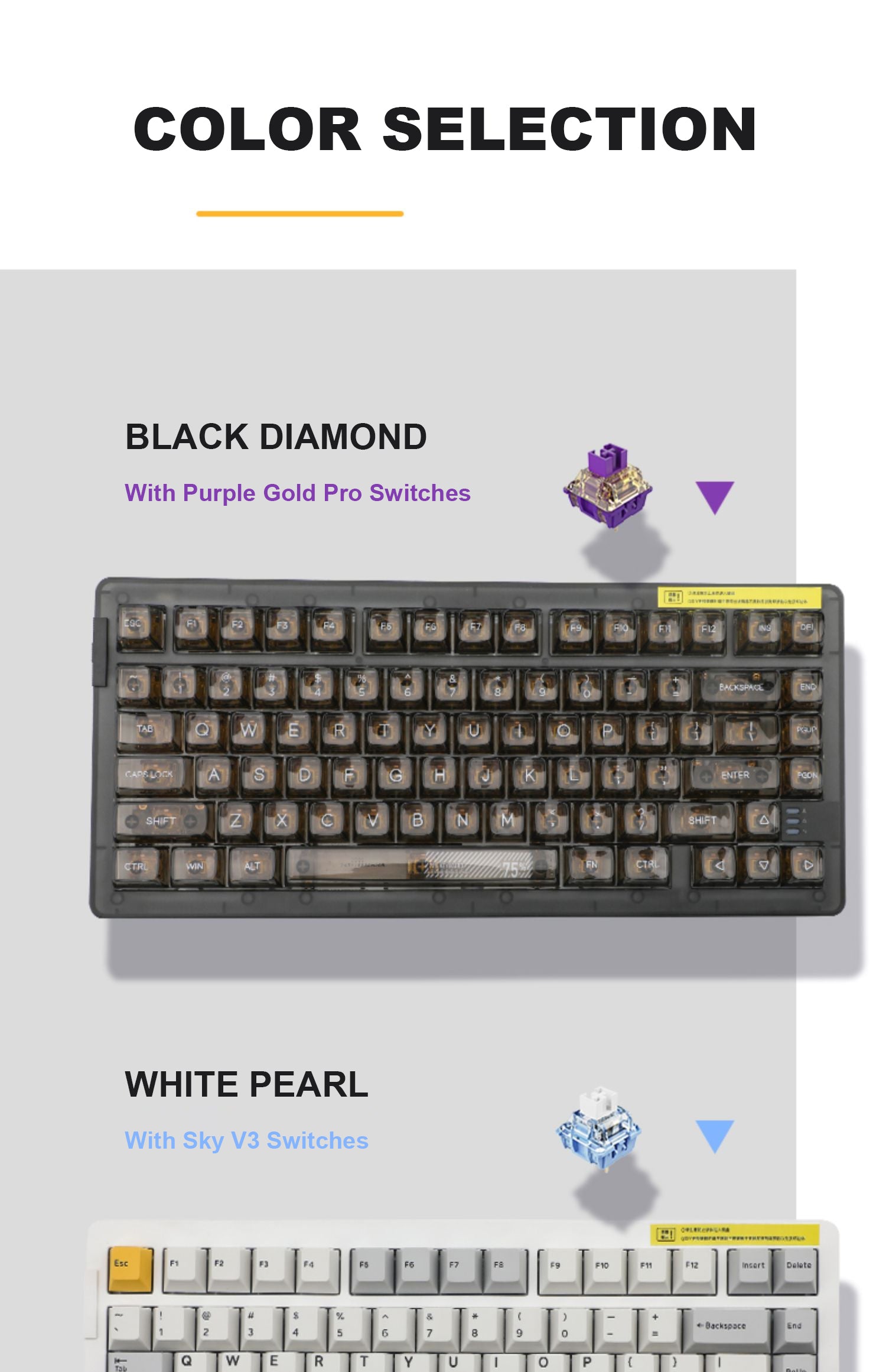 DAREU A81 81-Key GASKET Type-C Wired Mechanical Keyboard ft. Purple Gold Pro/Sky V3 Switches, N-Key Rollover & PBT Two-Color/PC Transparent Keycaps