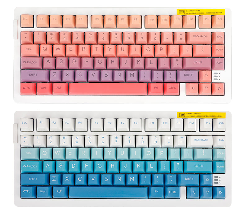 DAREU A81 81-Key GASKET Type-C Wired Mechanical Keyboard ft. Purple Gold Pro/Sky V3 Switches, N-Key Rollover & PBT Two-Color/PC Transparent Keycaps