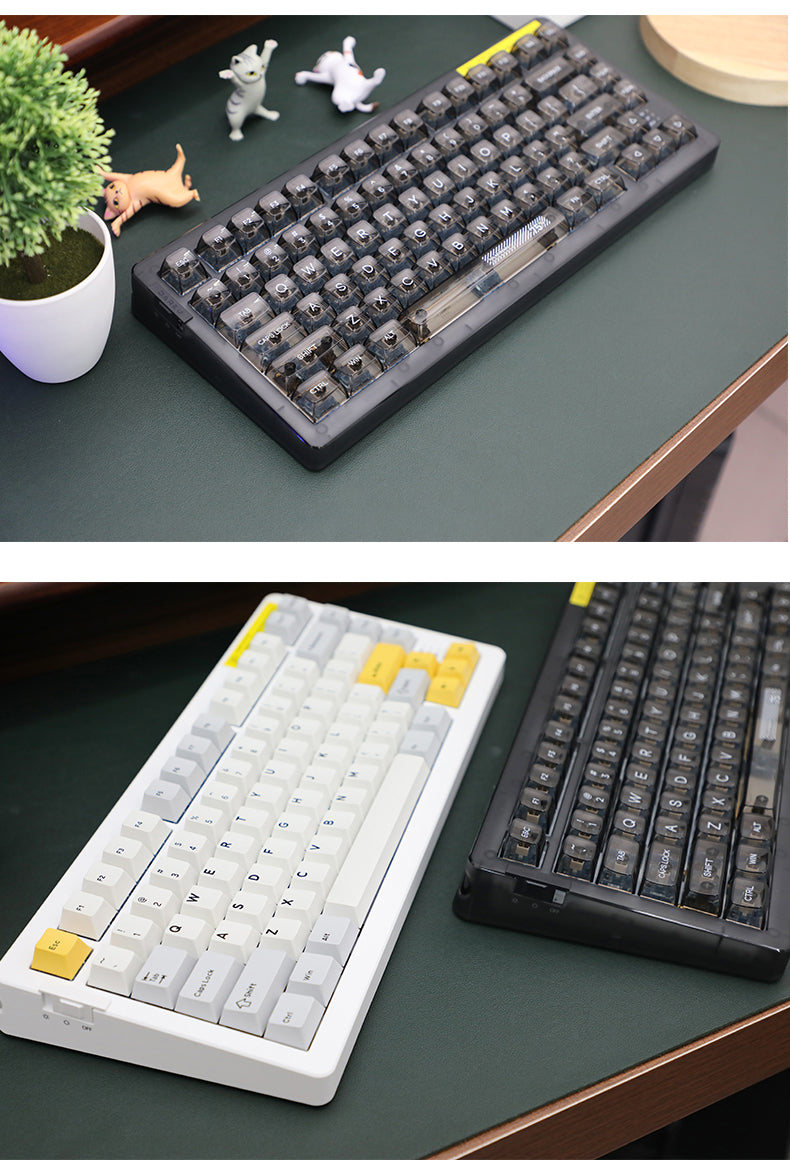 DAREU A81 81-Key GASKET Type-C Wired Mechanical Keyboard ft. Purple Gold Pro/Sky V3 Switches, N-Key Rollover & PBT Two-Color/PC Transparent Keycaps