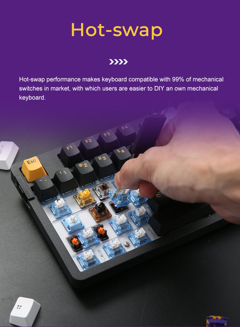 DAREU A87 PRO GASKET Tri-Mode 100% Hot-Swap 87-Key RGB Backlit Rechargeable Mechanical Gaming Keyboard with Violet Gold PRO / Sky V3 Switch