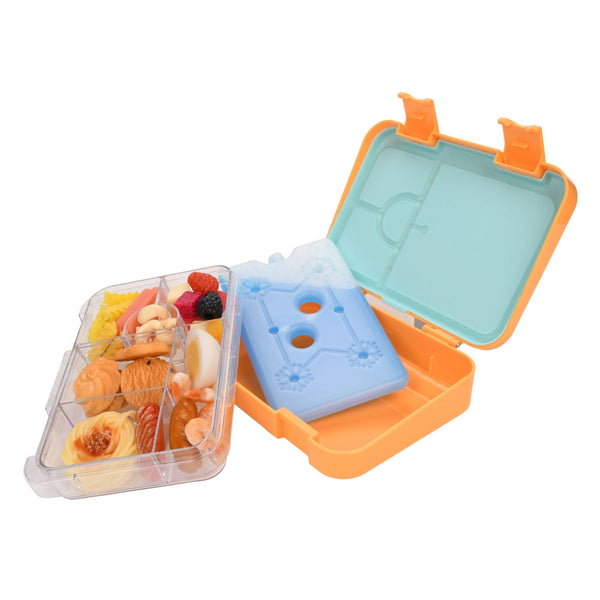 Kids Leak Proof Bento Lunch Boxes with Removable Ice Pack Blue – Happy Kid  AU