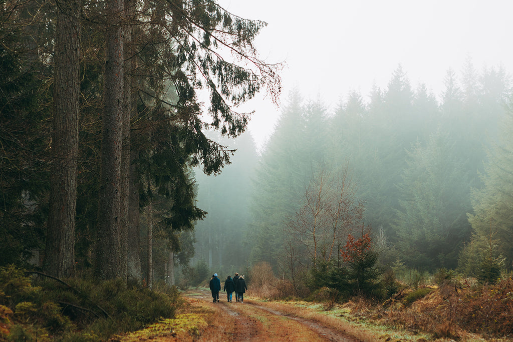 Family hiking in the woods