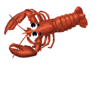 Image of a American Lobster