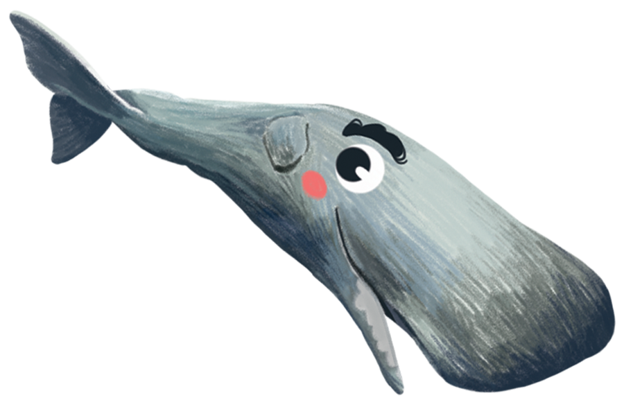 Image of a Sperm Whale