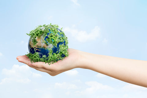 Circular economy - Caring for environment