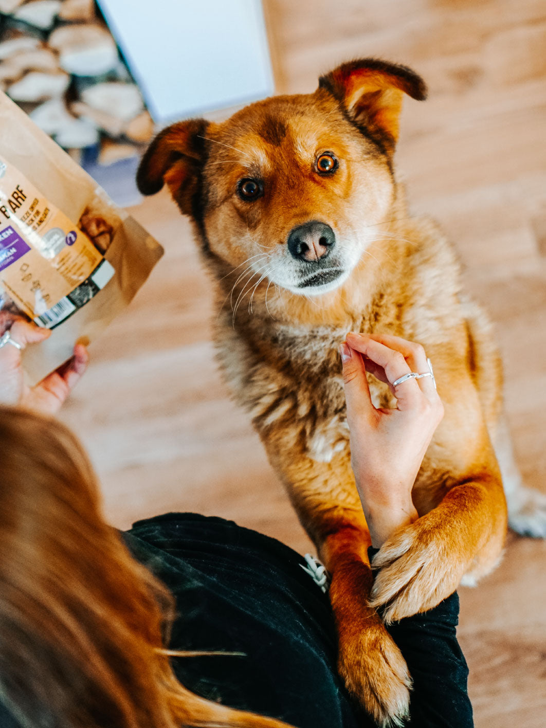 feeding freeze dried snacks