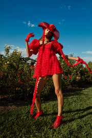 Hannah Mini Dress — Red | For Love & Lemons