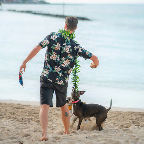 <img src="Aloha-shirt-outside-with-dog-By-Daniel-Torobekov-from-Pexels.jpg" alt="A man with Aloha shirt is playing with his dog on the beach"/>