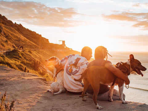 <img src="marcos-paulo-prado-qoifwcnIpjM-unsplash.jpg" alt="Couple spending time on the cliff and watching the sunset with their dogs, Photo by Marcos Paulo Prado on Unsplash"/>