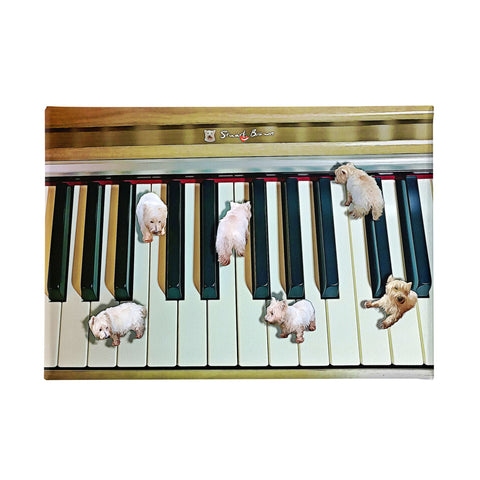 Westie Concert Pianist - Wall Art Print