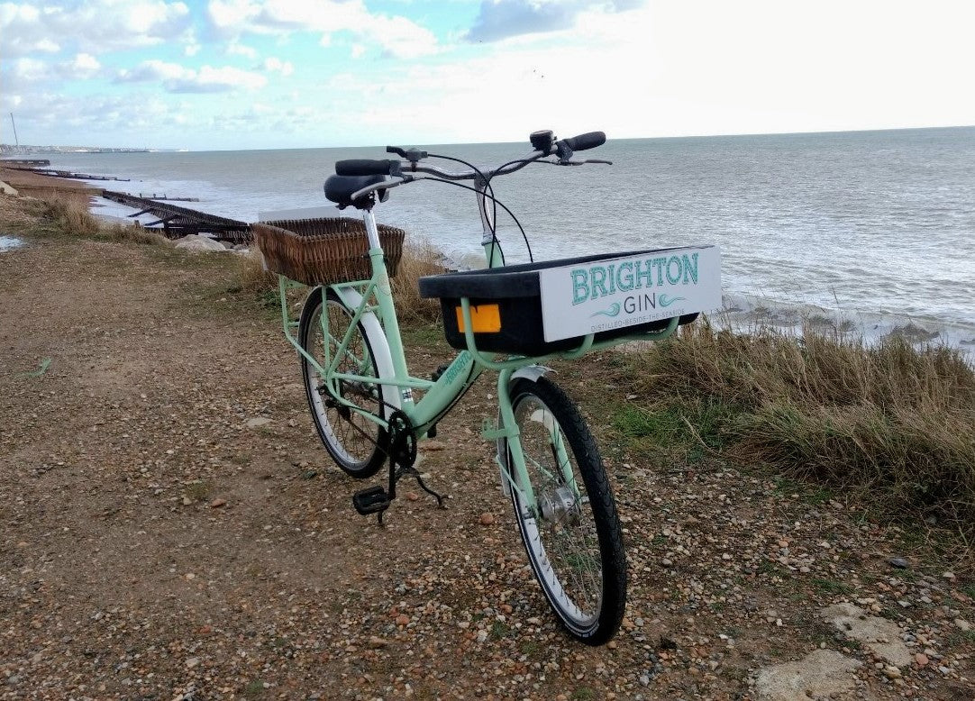 Brighton Gin bike on beach