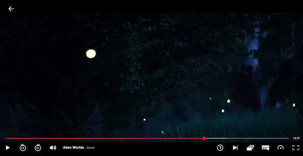 Fireflies for Netflix