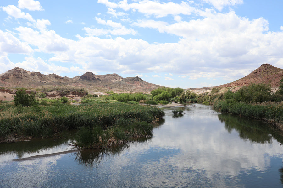 Wetlands Las Vegas