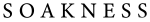 Soakness Logo