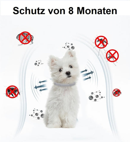 Flea pet collar, tick protection / Minikauf.ch