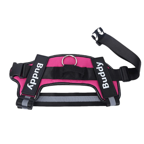 Dog harness personalized - reflective with name & phone number / Minikauf.ch