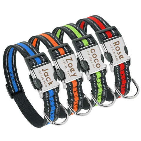 Personalisiertes Nylon Hundehalsband / Minikauf.ch