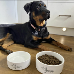 Dog with custom personalised food and water bowls