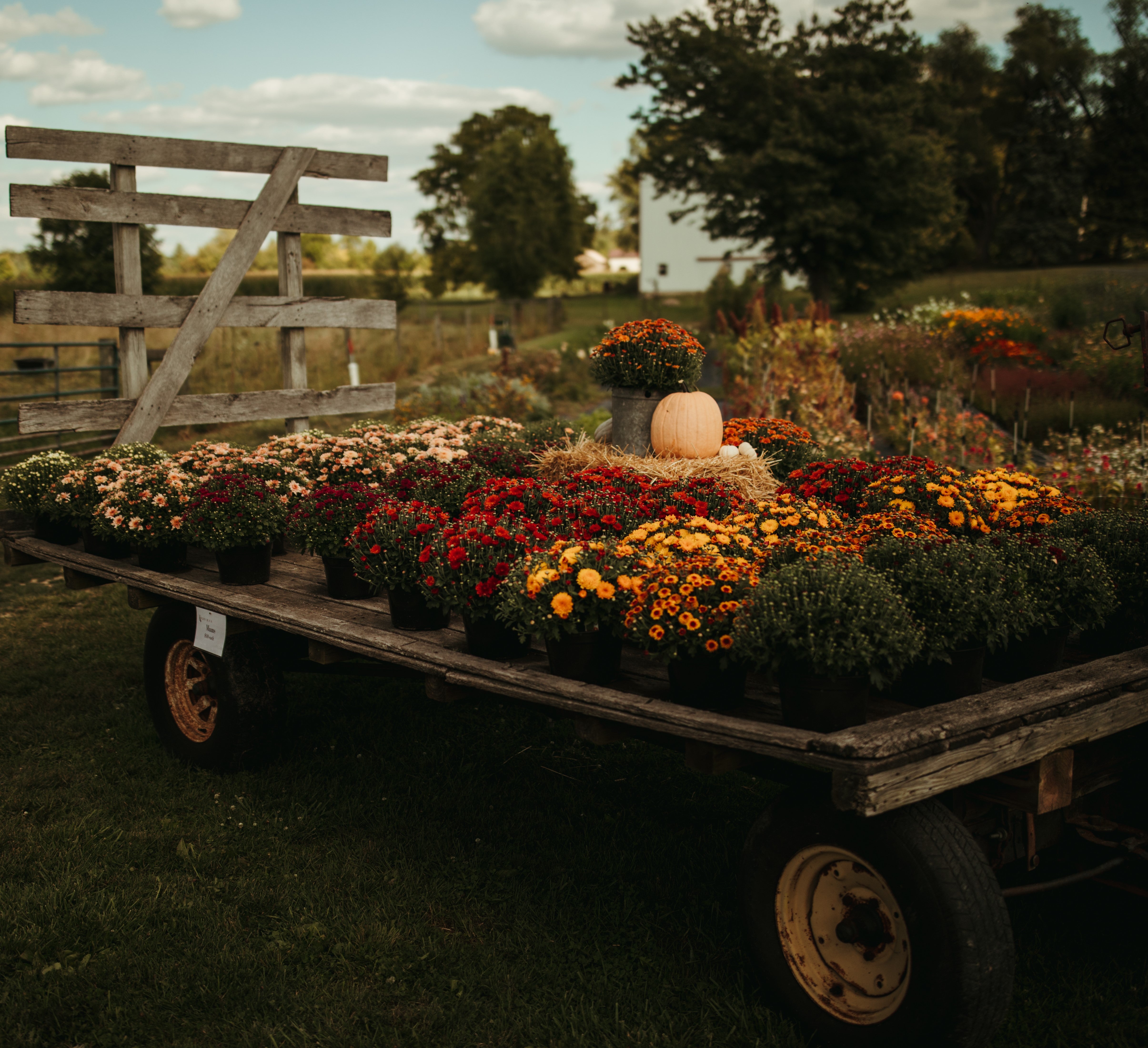 Fall At The Farm - Tickets