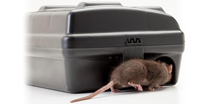 Evo Express Exterior Rodent Bait Station | Pest Protection Plus Products