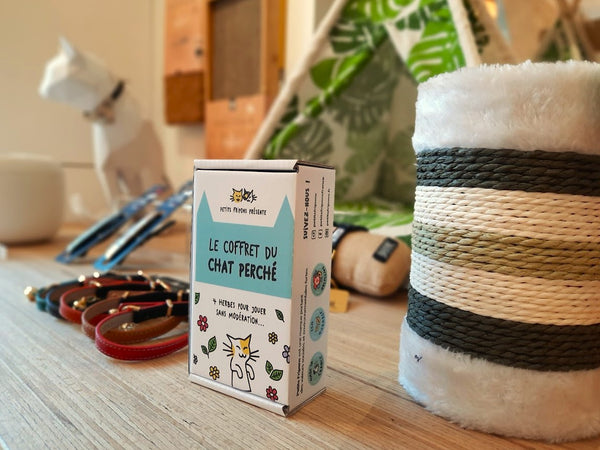 coffret du chat perché en boutique