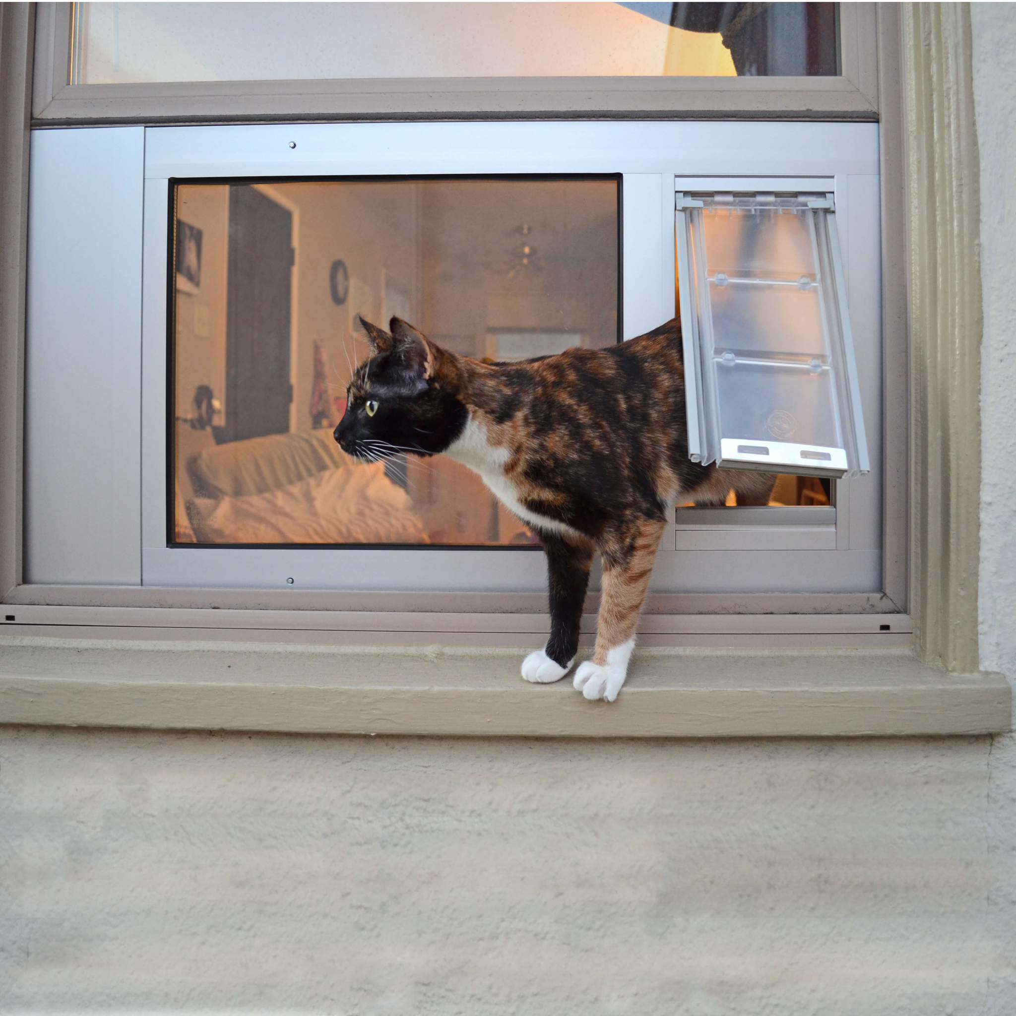 cat using endura flap sash window