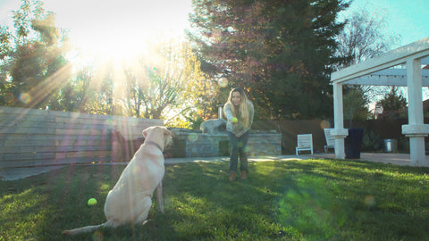 woman throwing ball for a dog