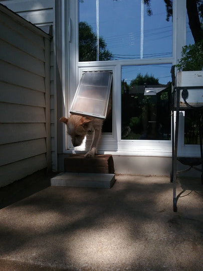 how do you measure a dog for a sliding glass door