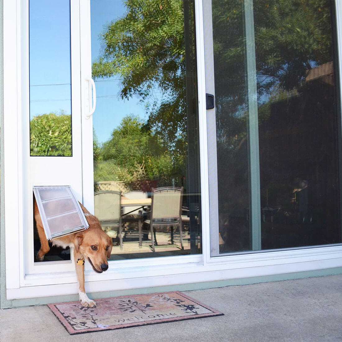 dog using the Thermo Panel 3e patio door insert