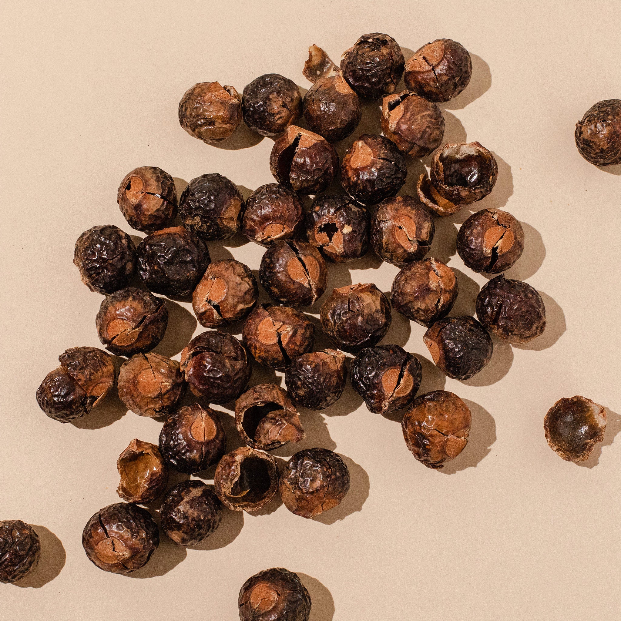 image of soap nuts, what we use to naturally lather our shampoo without sulfates. 