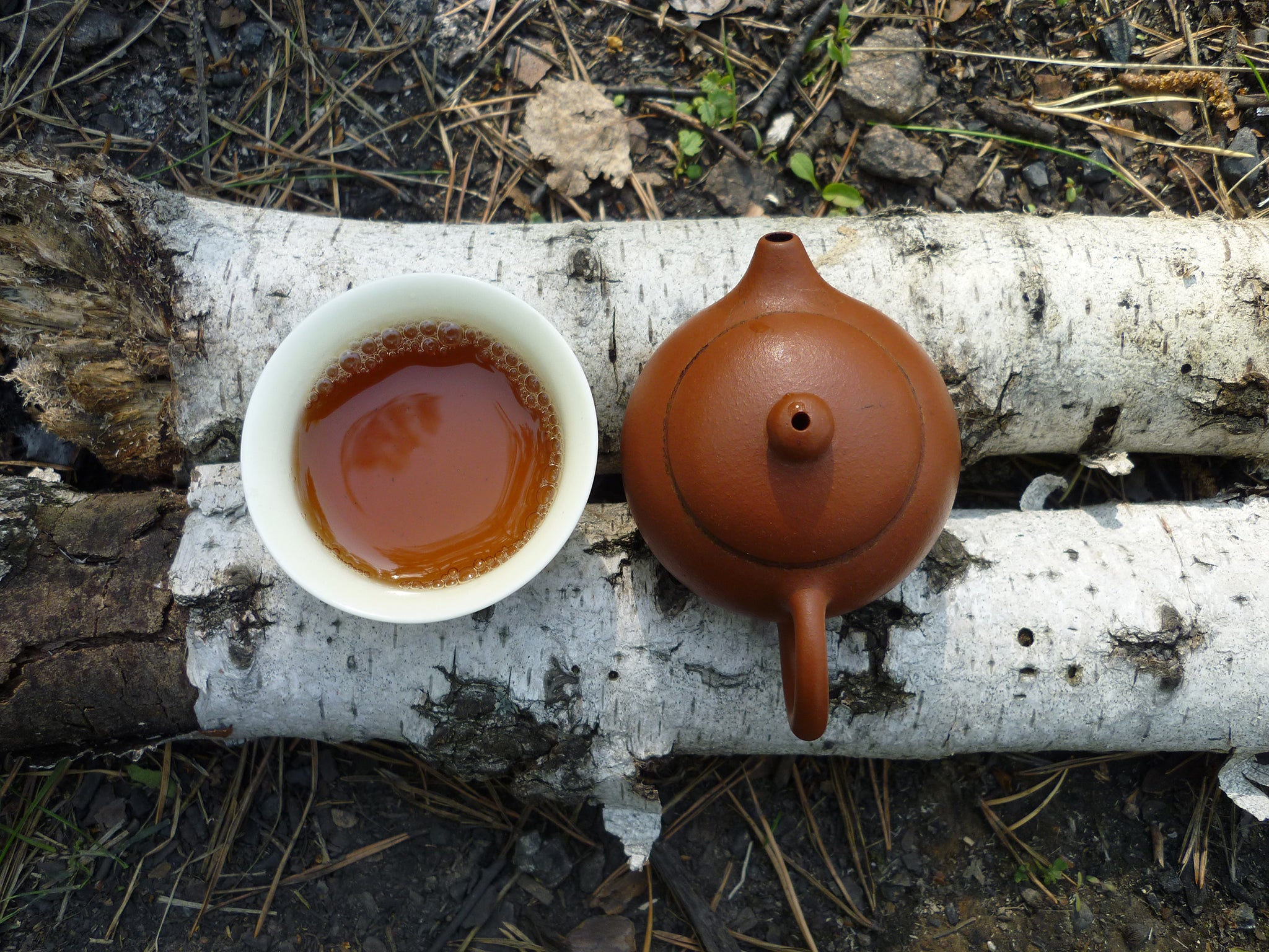 tea set on a log as part of a forest bathing tea ceremony. 