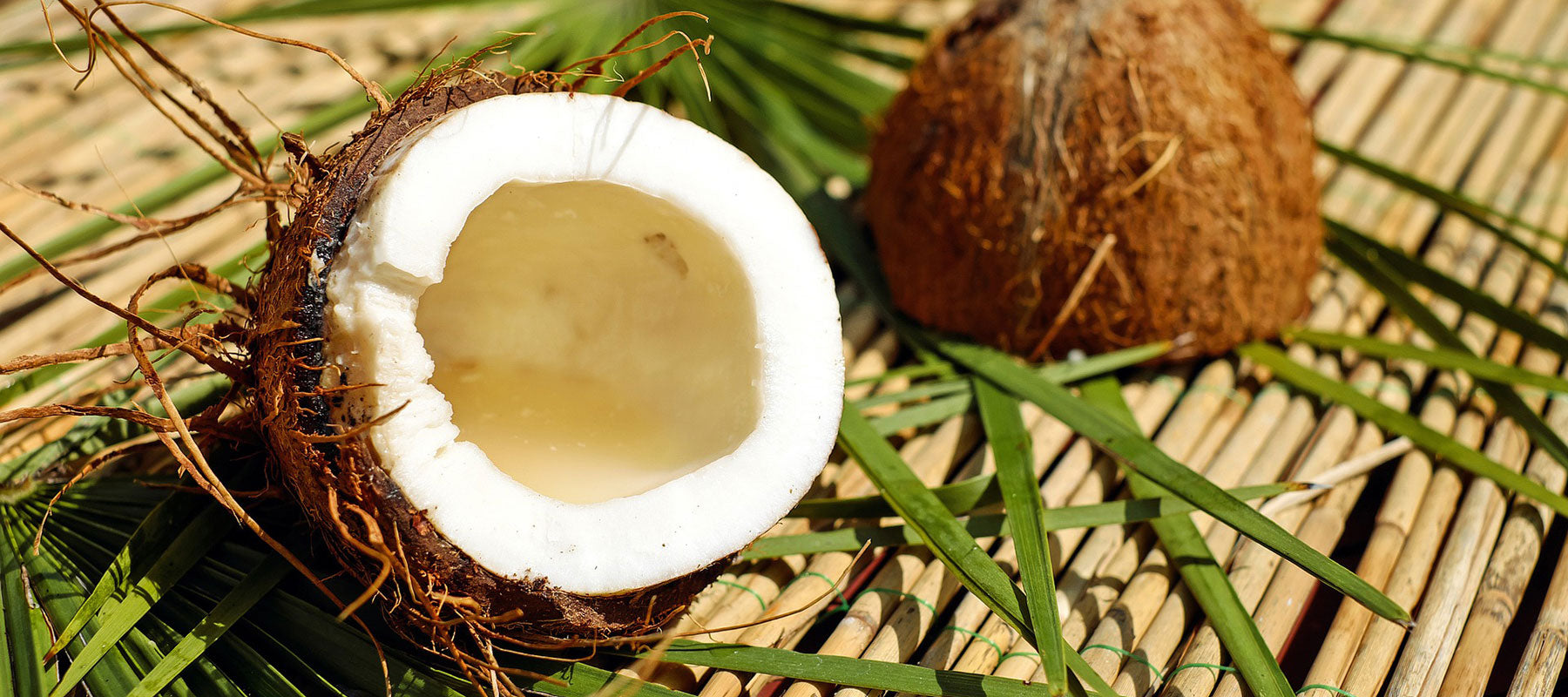 Coconut