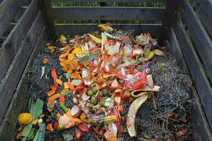 Composting in your backyard