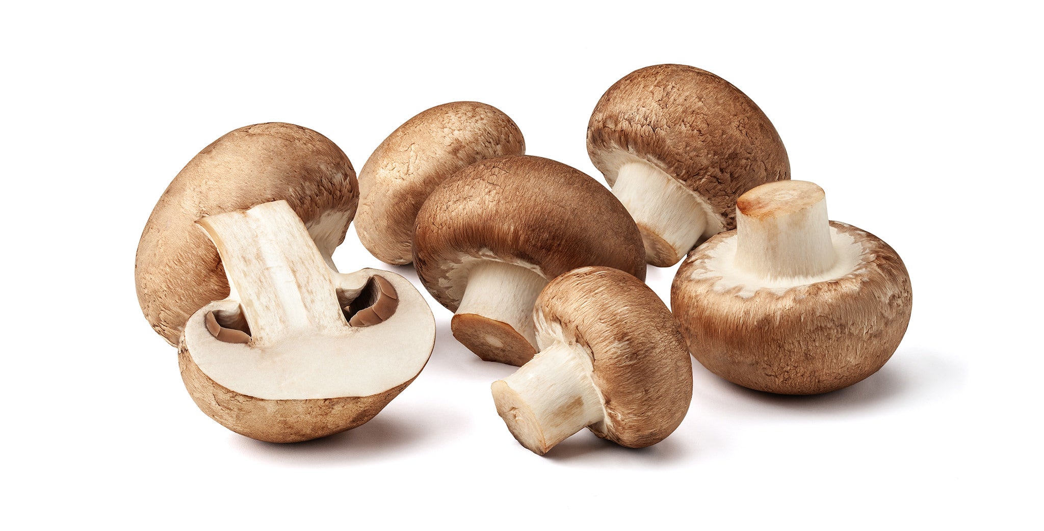 image of mushrooms. 